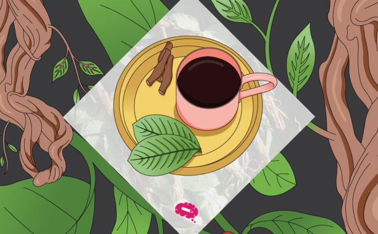 history Ayahuasca